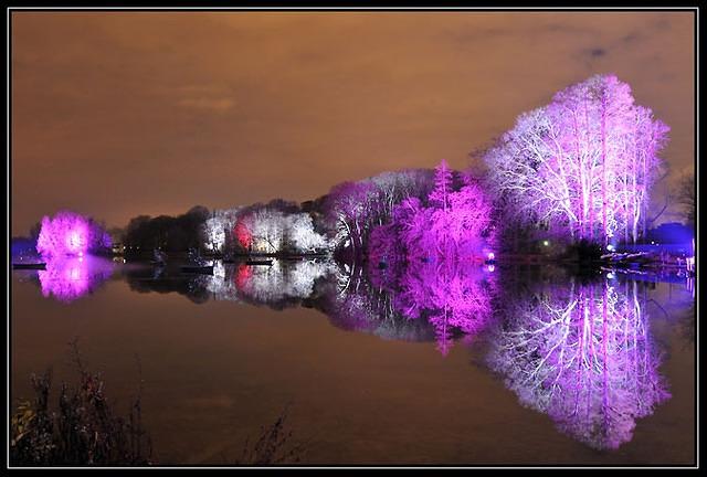 Fêtes des Lumières Lyon  - 2008 (19)